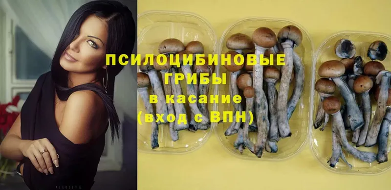 купить наркотики сайты  Сухиничи  MEGA ссылка  Псилоцибиновые грибы Magic Shrooms 